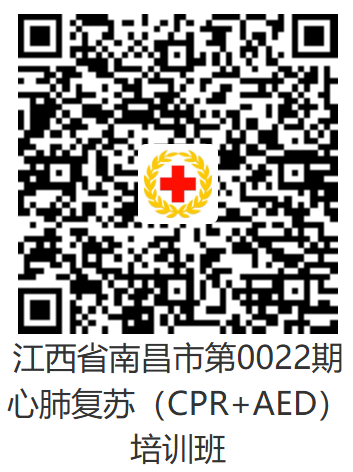 1市本級.png